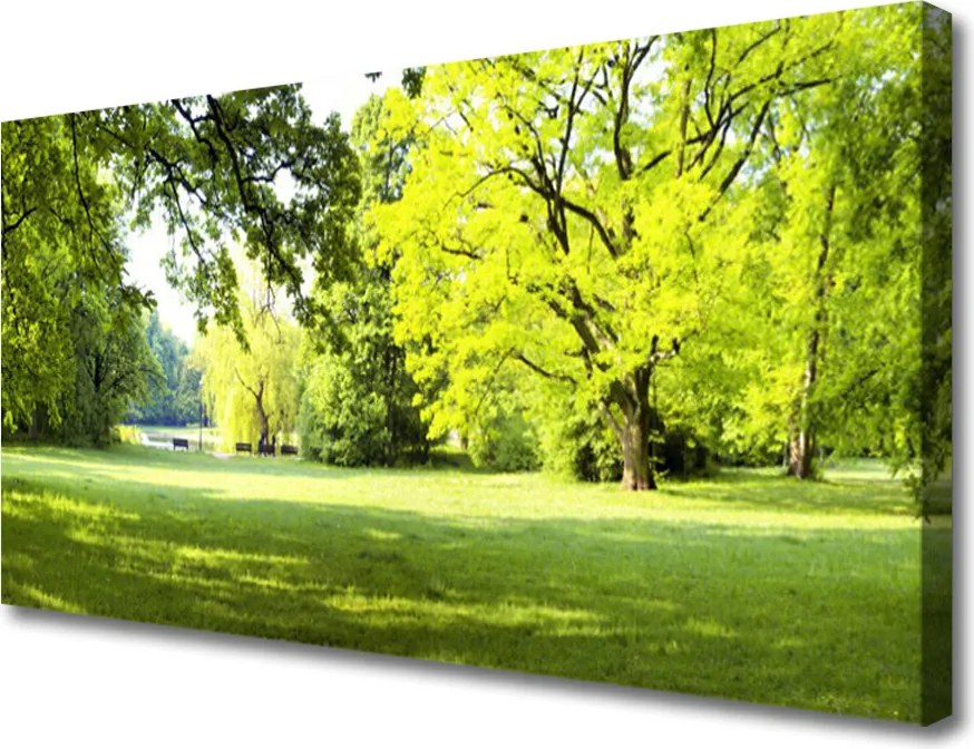 Obraz canvas Parkowa Aleja w Słońcu