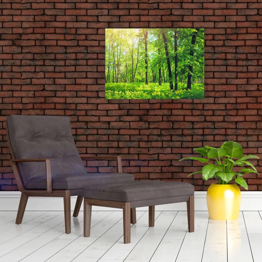 Obraz - Wiosenny las liściasty (70x50 cm)