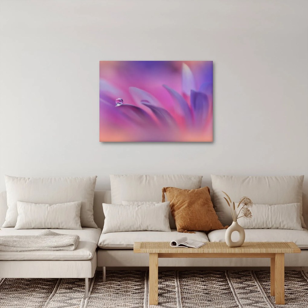 Obraz - Kropla na kwiecie (70x50 cm)