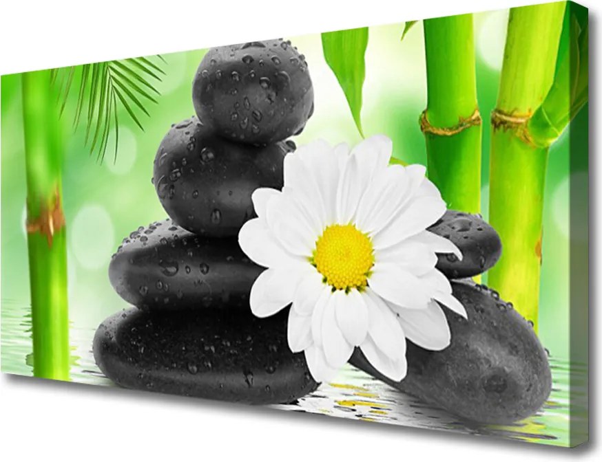 Zdjęcie na płótnie Botaniczny Portret Storczyka