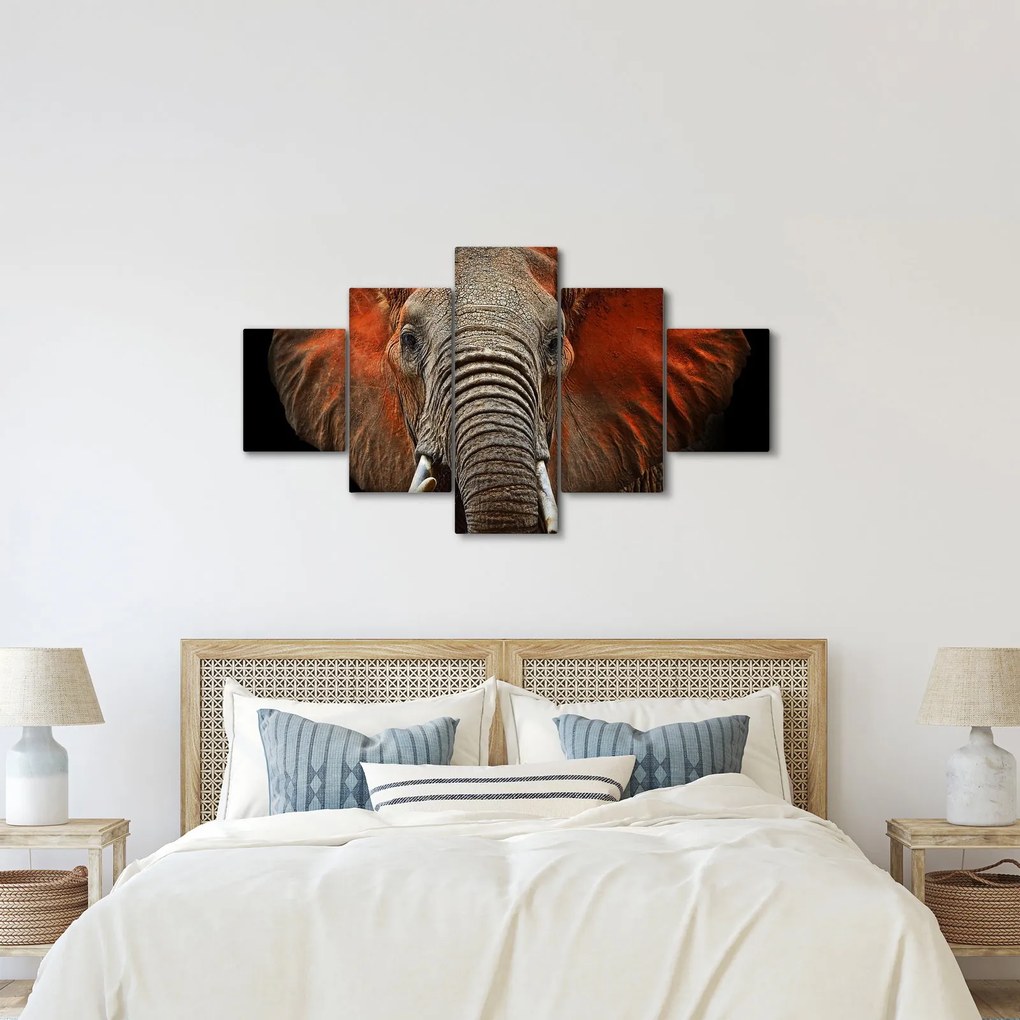 Obraz - Słonie z Tsavo (125x70 cm)