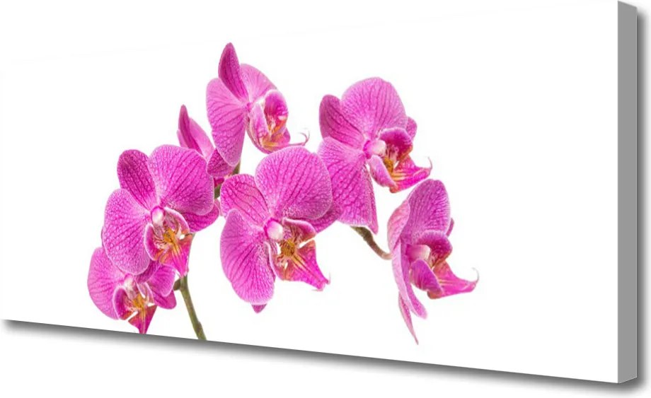 Fotoobraz na płótnie Kręta Droga przez Górską Halę