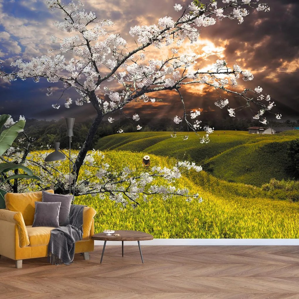 Fototapeta - Kwitnące drzewo w krajobrazie (196x136 cm)