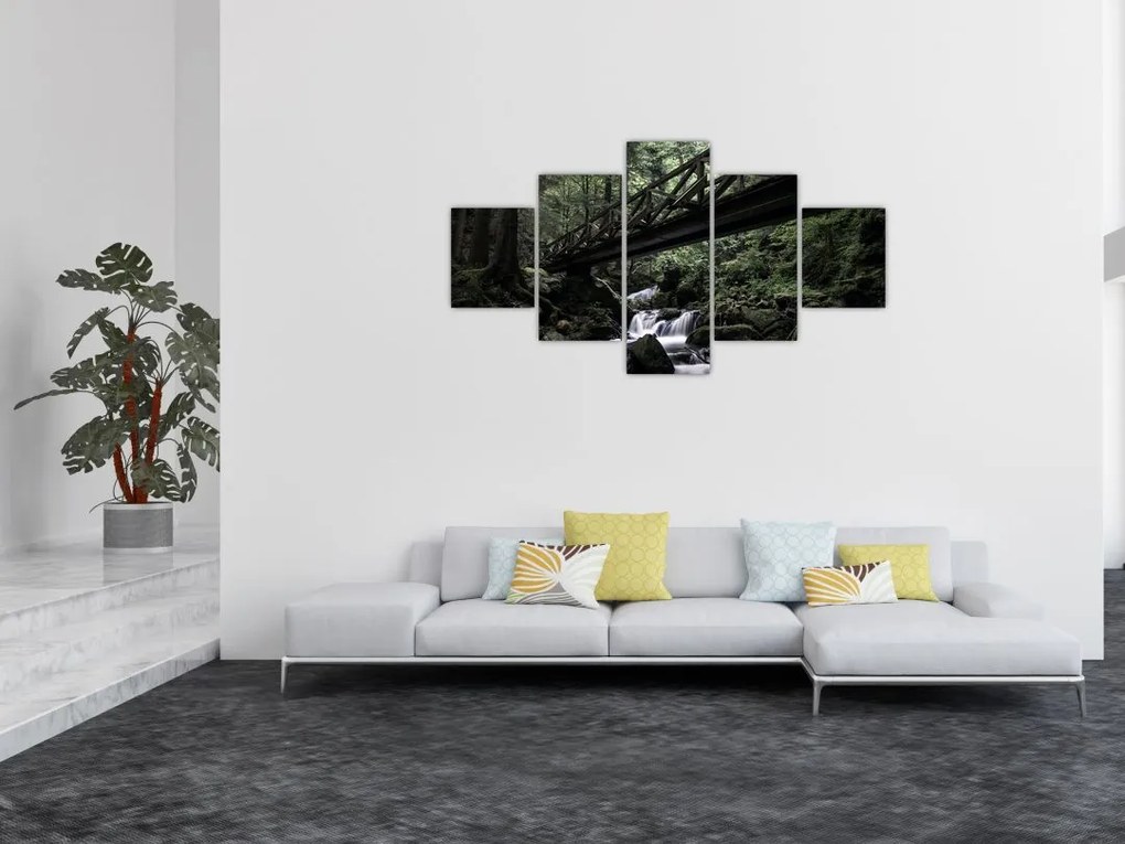 Obraz z czarnego lasu (125x70 cm)