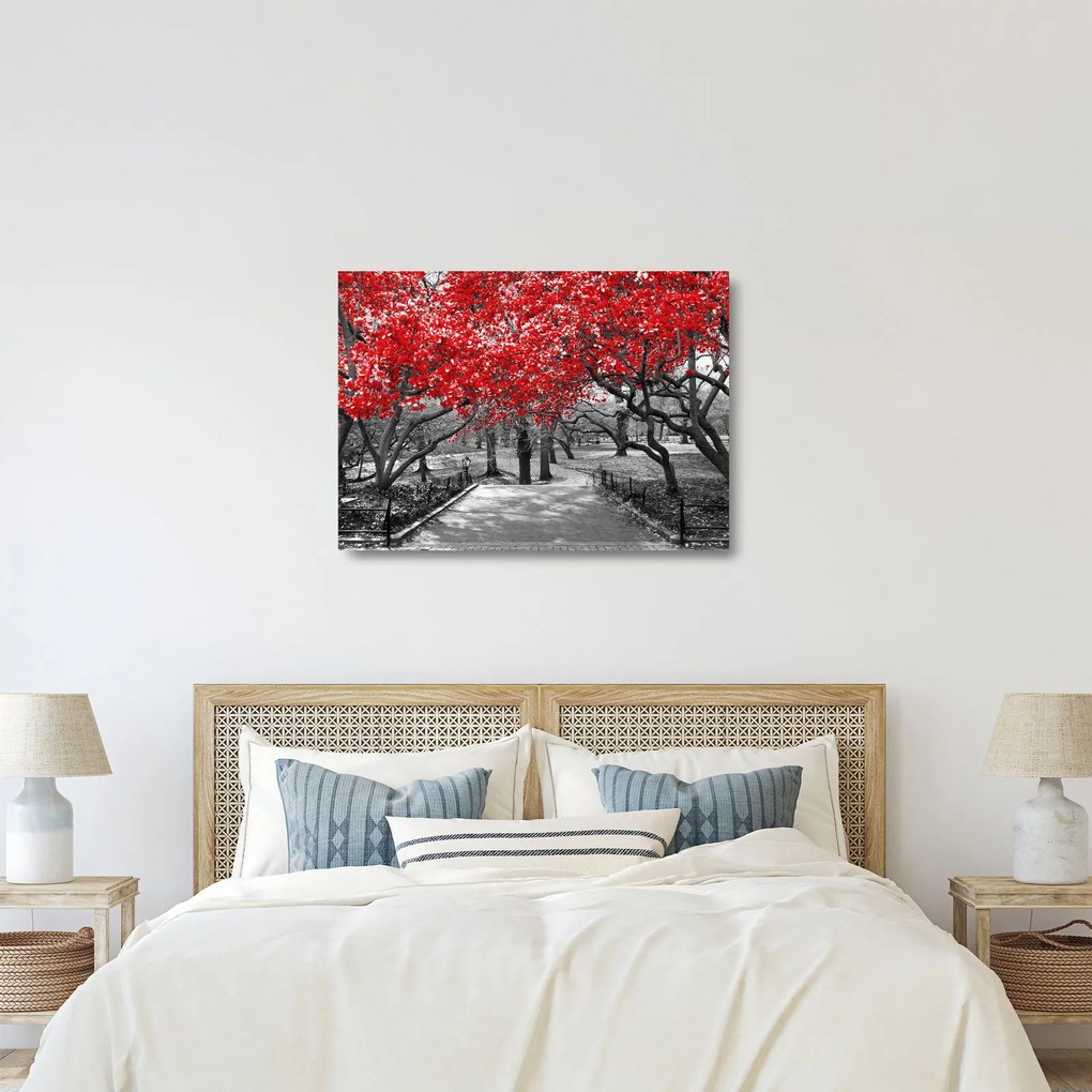 Obraz na szkle - Czerwone drzewa, Central Park, New York (70x50 cm)