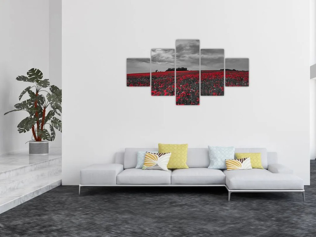 Obraz maków (125x70 cm)
