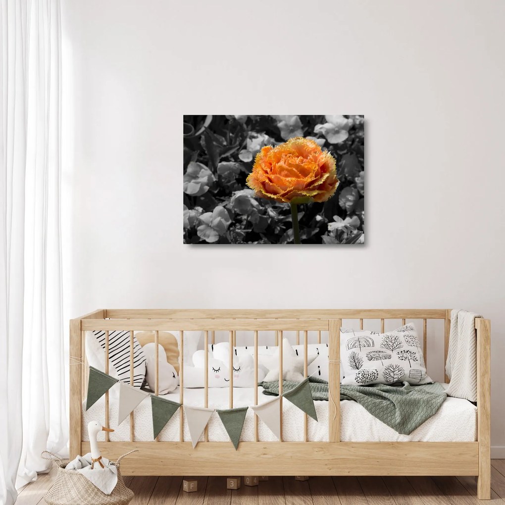 Obraz na szkle kwiatu (70x50 cm)