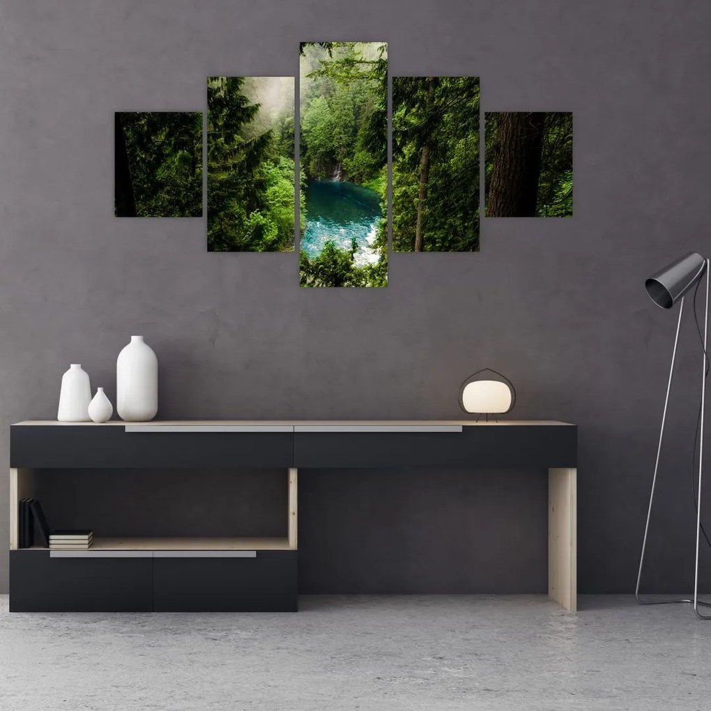 Obraz - Przestrzeń między drzewami (125x70 cm)