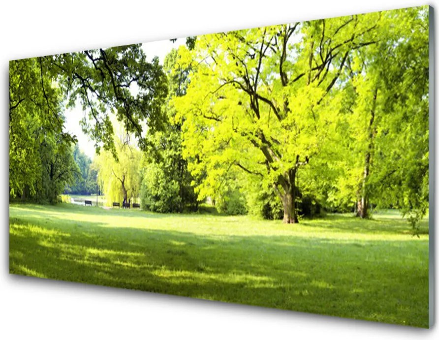 Panel Szklany Parkowa Aleja w Słońcu