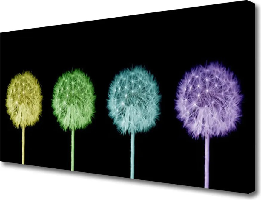 Obraz na płótnie Puszysta Kula Mniszka