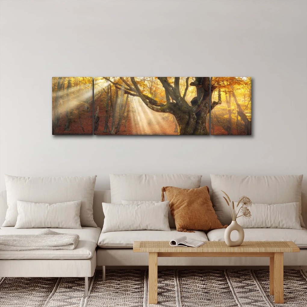 Obraz - Jesienny świt (170x50 cm)