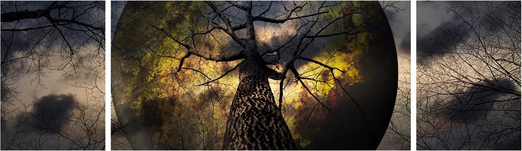 Obraz - Tajemnicze niebo (170x50 cm)