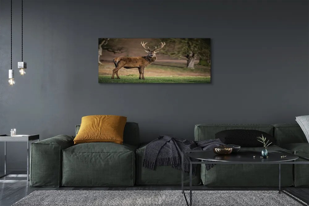 Obraz canvas na ścianę Samotny Jeleń na Polu