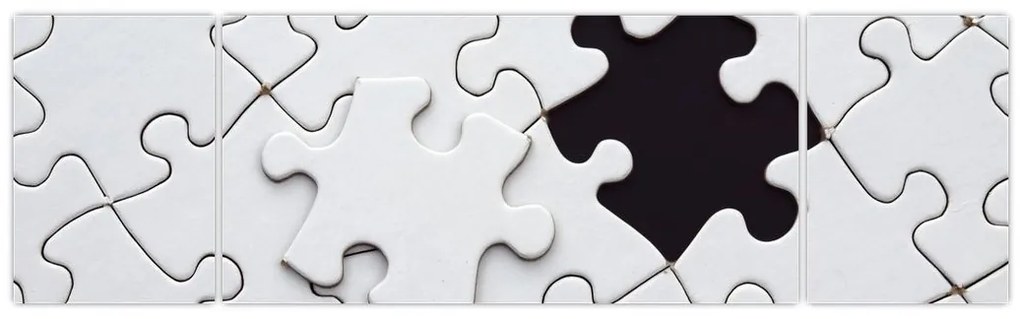 Obraz puzzli (170x50 cm)
