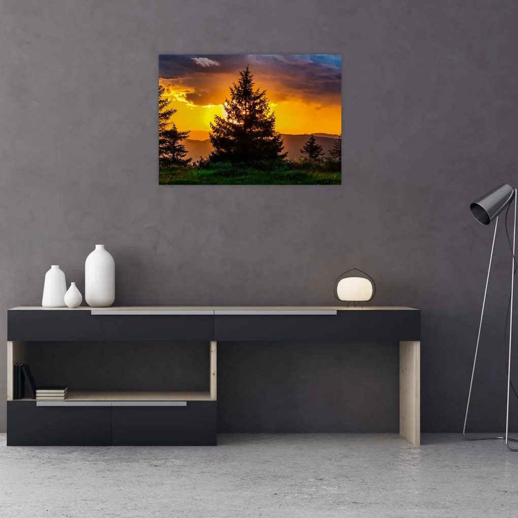 Obraz - drzewa iglaste (70x50 cm)