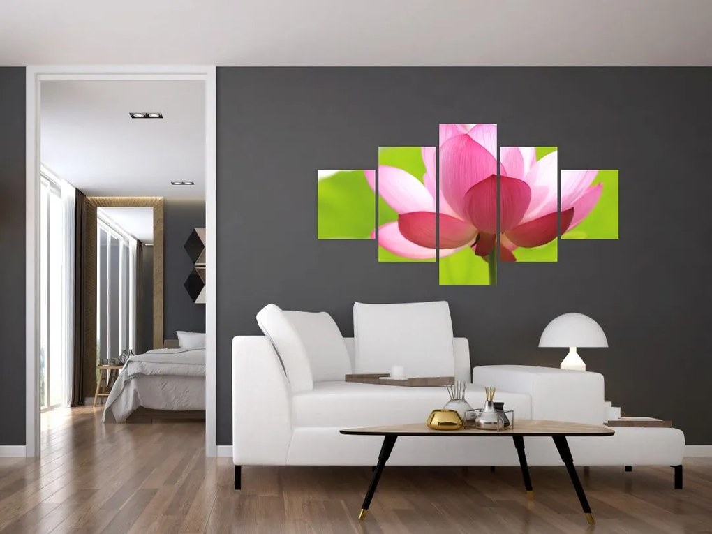 Obraz kwiatu lotosu (125x70 cm)