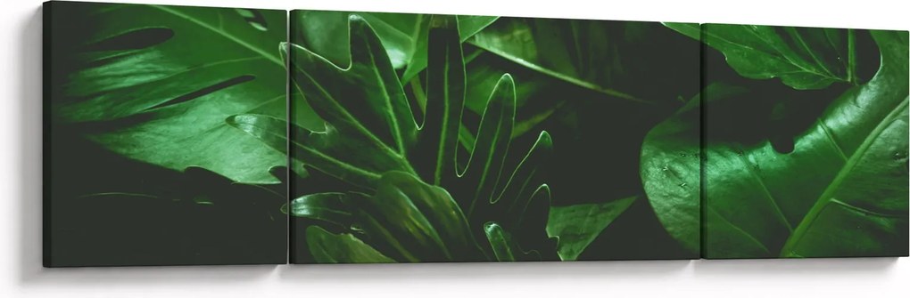 Obraz - Liście palmowe (170x50 cm)