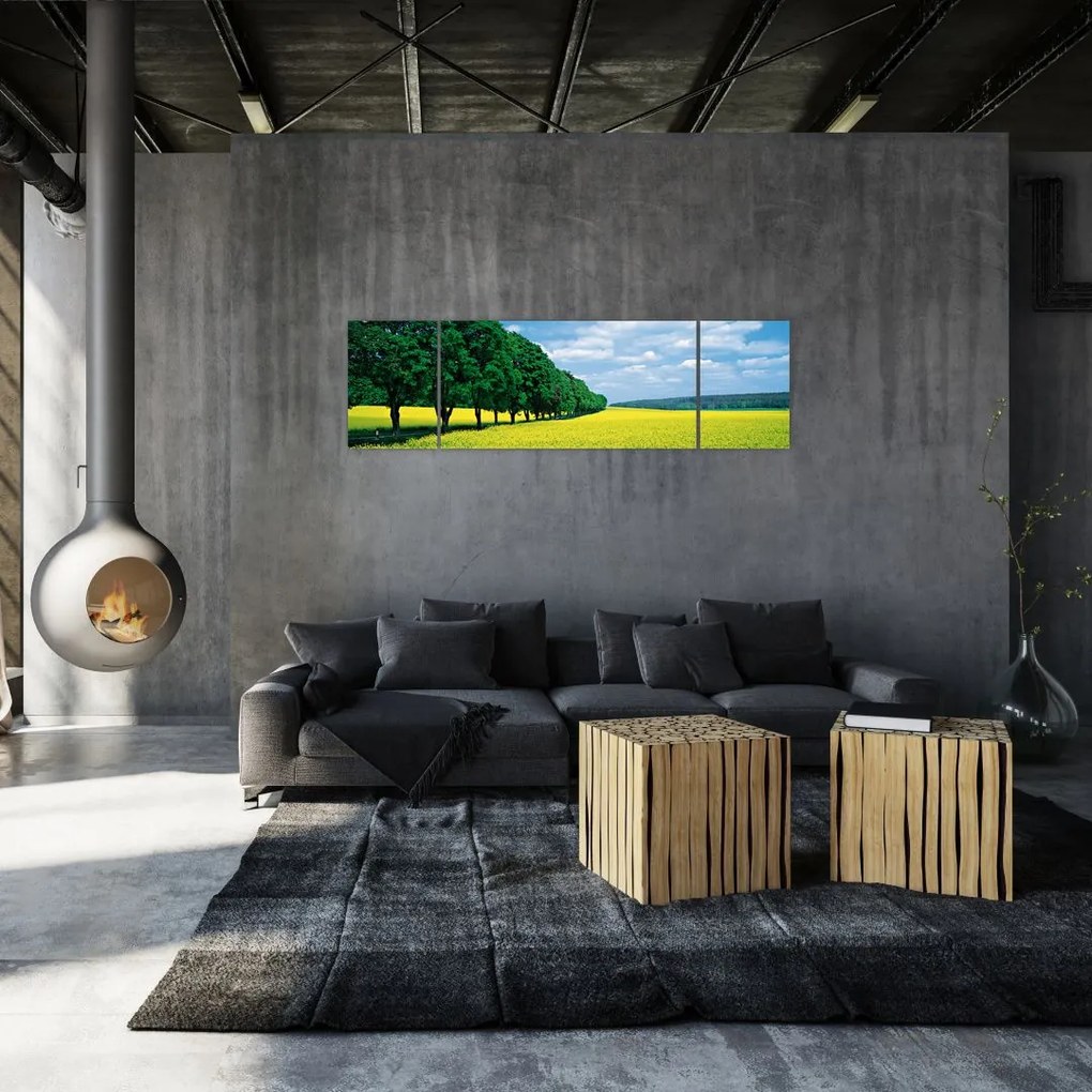 Obraz pola z aleją (170x50 cm)
