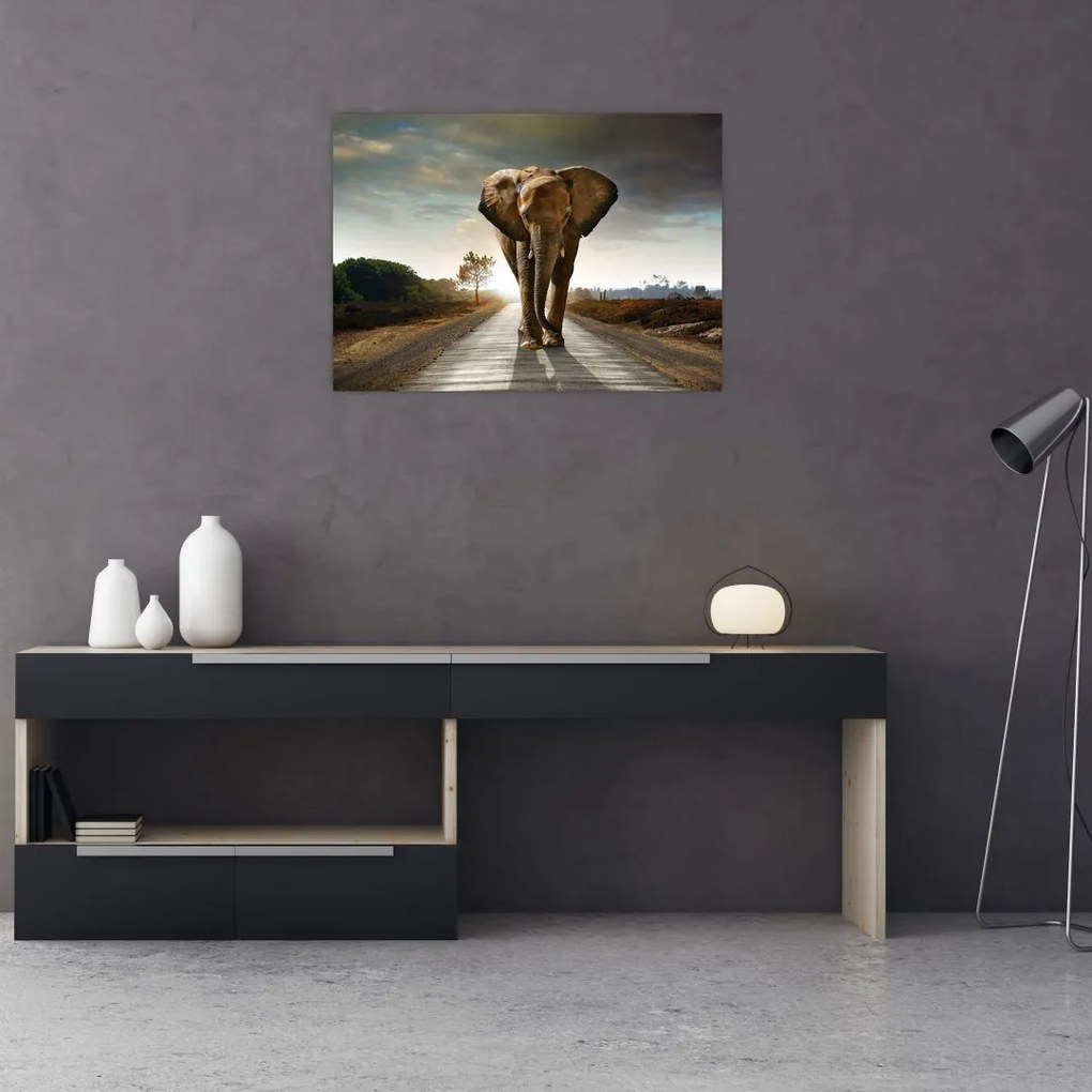 Obraz na szkle słonia (70x50 cm)