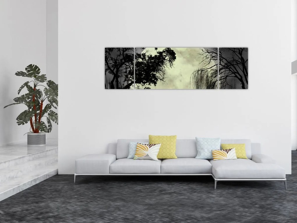 Obraz - Księżyc w pełni nad powierzchnią, wersja czarno - biała (170x50 cm)