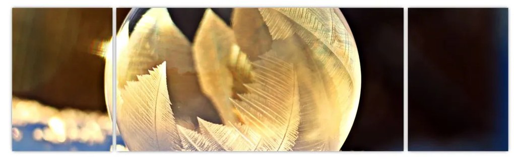 Obraz zamrożonej bańki (170x50 cm)