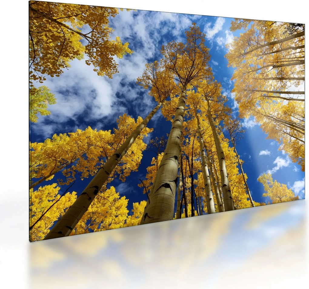 Obraz na szkle - Aspen (70x50 cm)