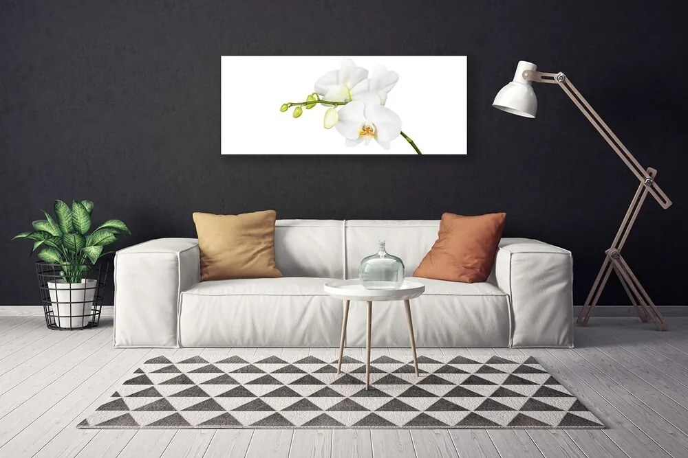 Obraz canvas Egzotyczna Elegancja Orchidei