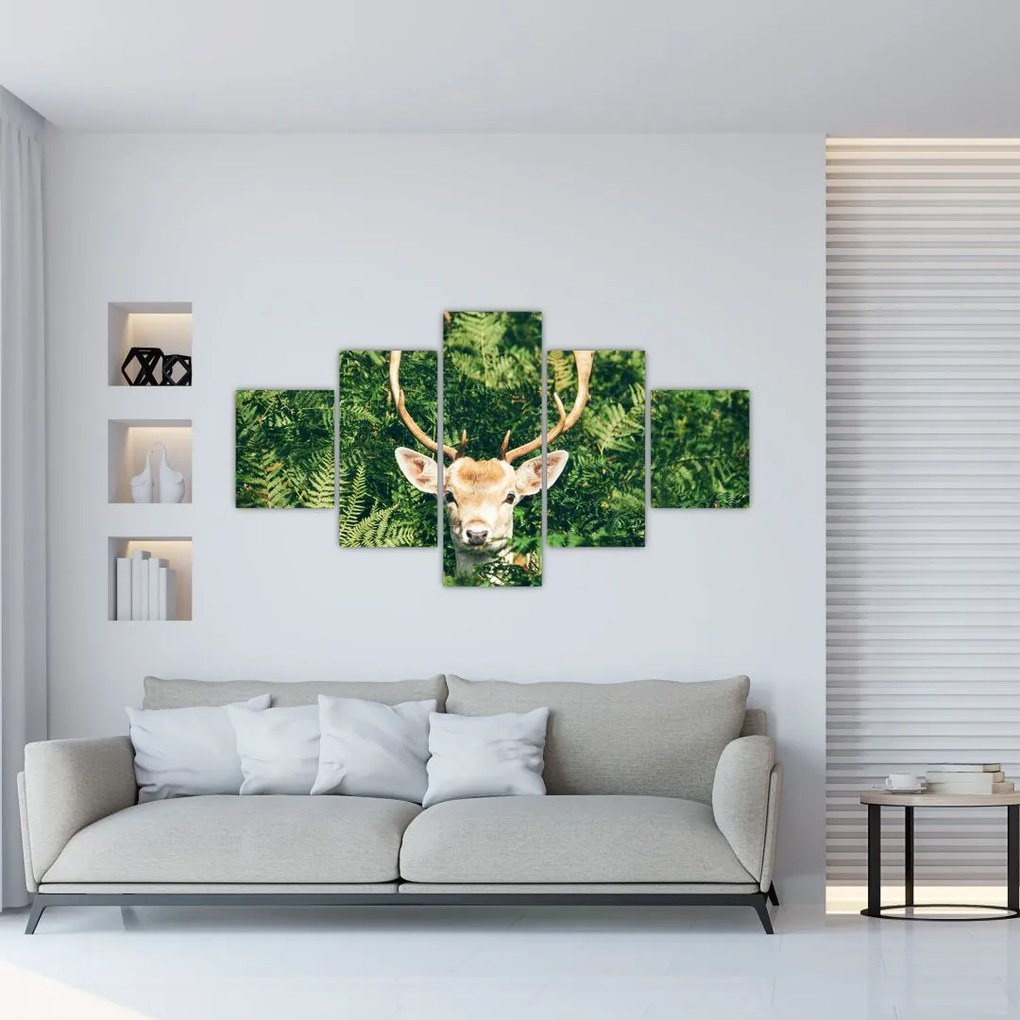 Obraz - szczegół głowy jelenia (125x70 cm)