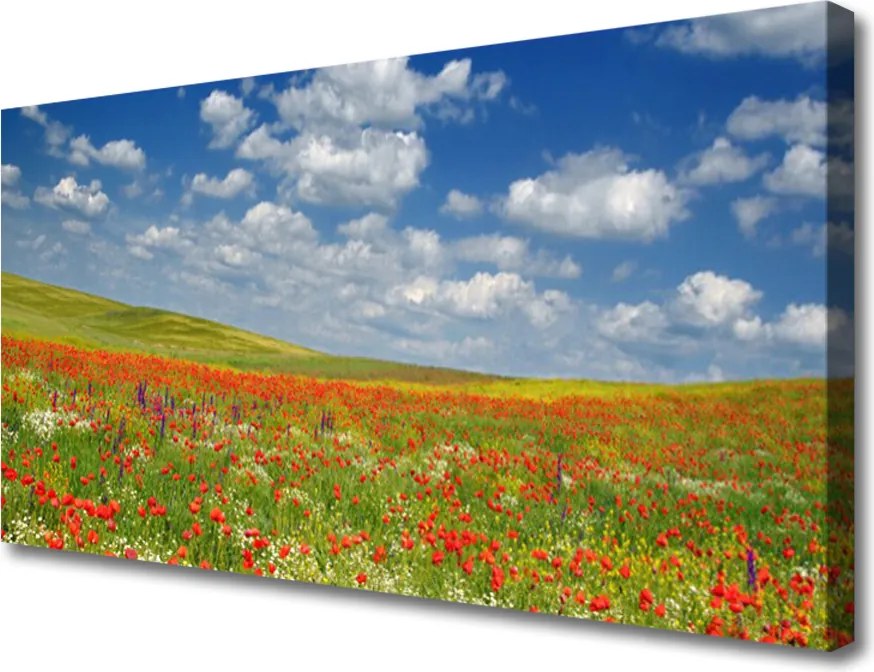 Obraz canvas na ścianę Sielski Pejzaż Polny