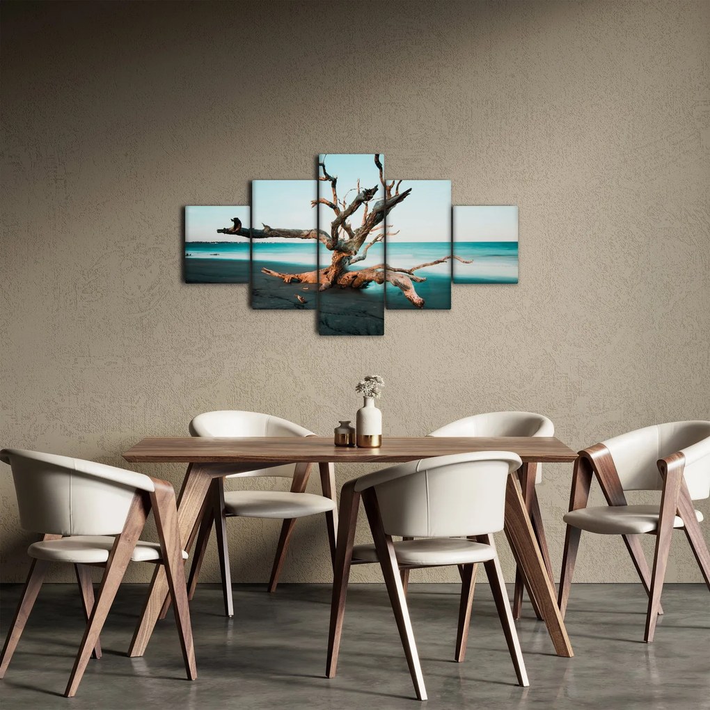 Obraz - Wyłowiono na plaży (125x70 cm)