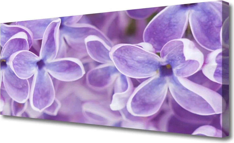 Obraz na płótnie Harmonijny Rozkwit Natury