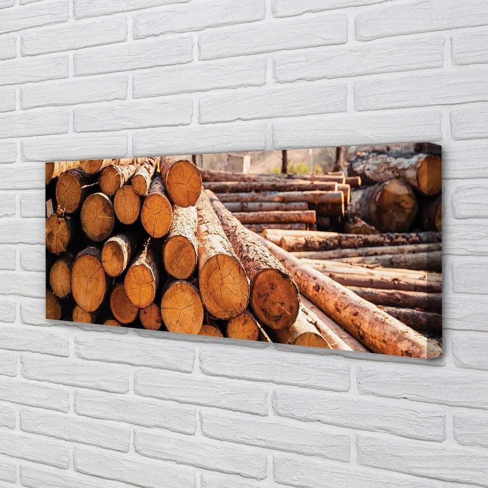 Obraz na płótnie Składowisko Świeżych Bali