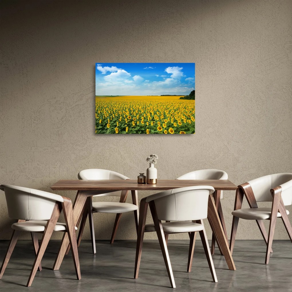 Obraz na szkle - ciąg słoneczników (70x50 cm)