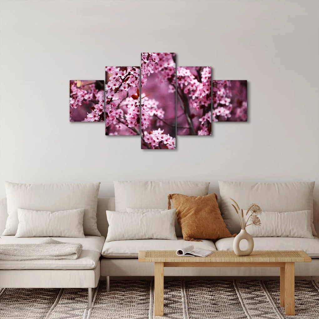 Obraz - Różowa sakura (125x70 cm)