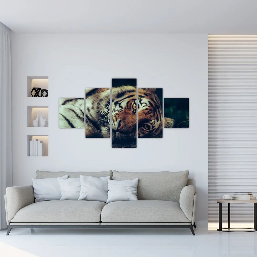 Obraz - tygrys syberyjski (125x70 cm)