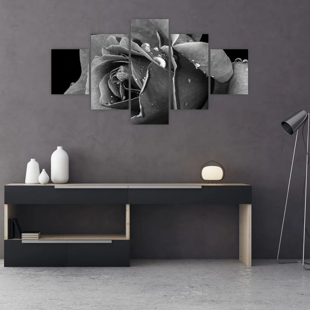 Obraz róży - czarno - biały (125x70 cm)