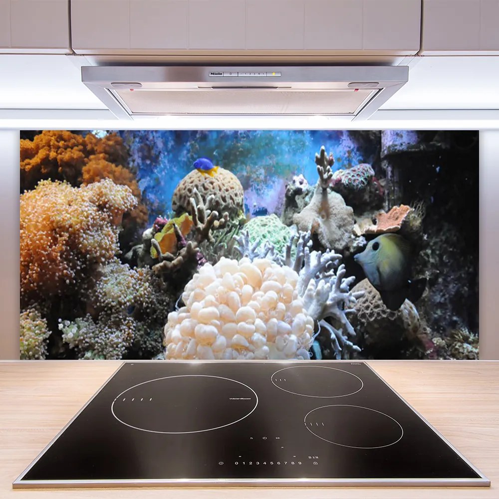 Szkło Ozdobne do Kuchni Bogactwo Oceanicznej Rafy