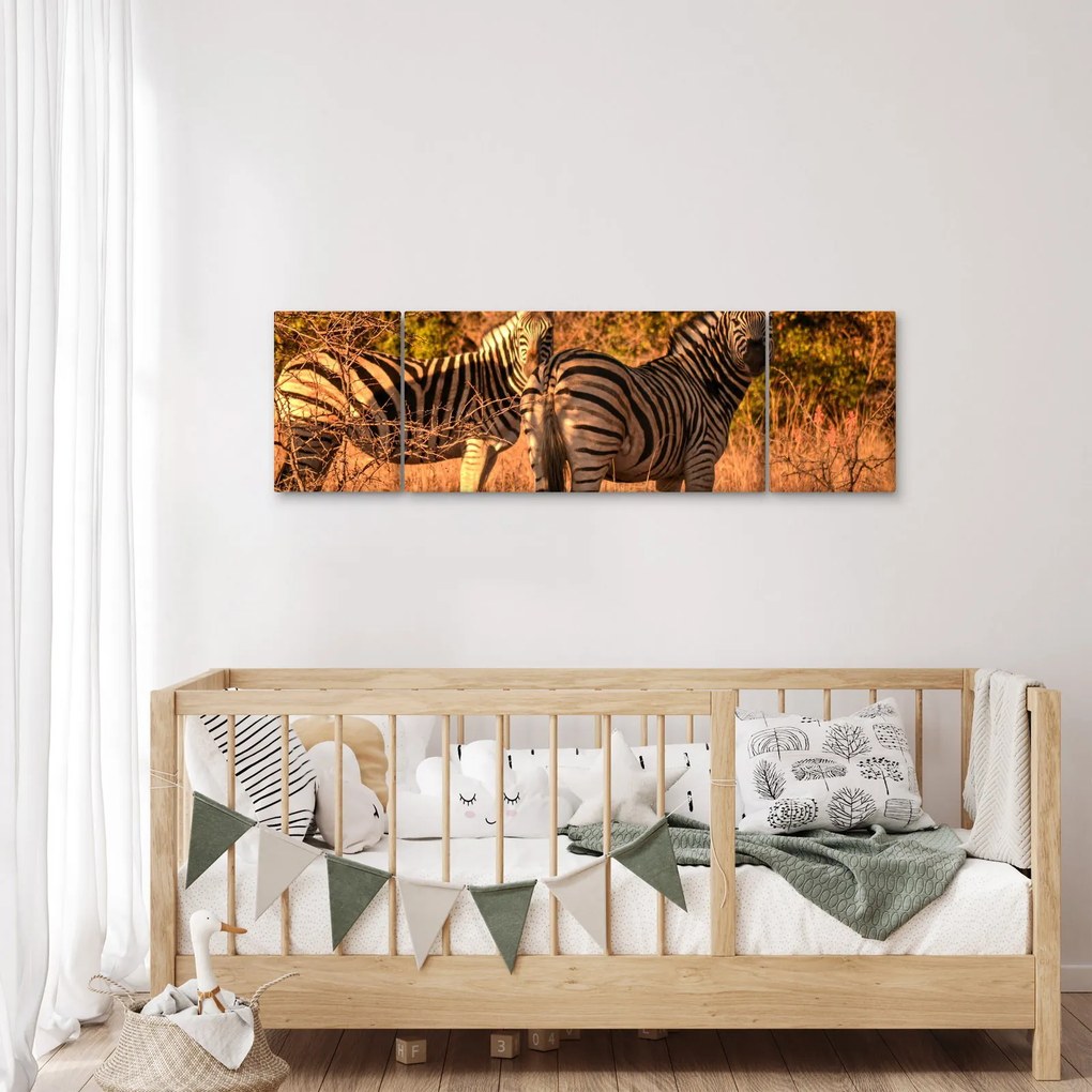 Obraz zebr (170x50 cm)