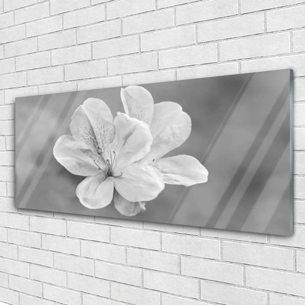 Obraz Akrylowy Kwiaty Roślina