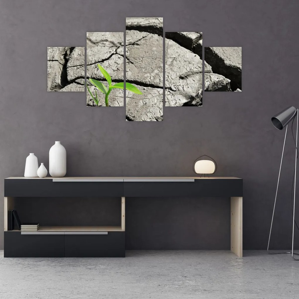 Obraz - Pęknięcia (125x70 cm)