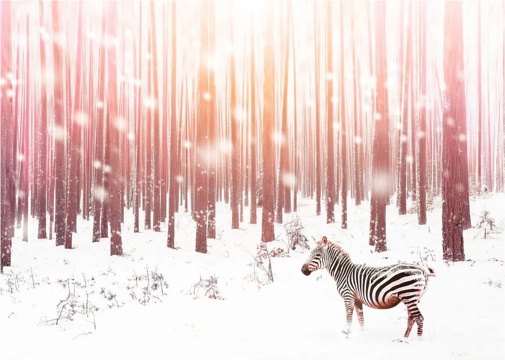 Obraz na szkle - Zebra w śnieżnym lesie (70x50 cm)