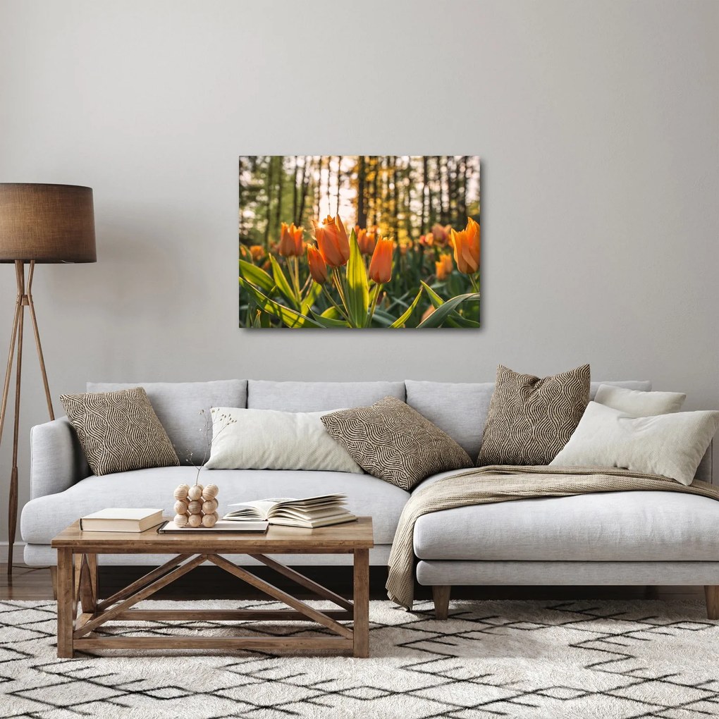 Obraz - pomarańczowe tulipany (70x50 cm)