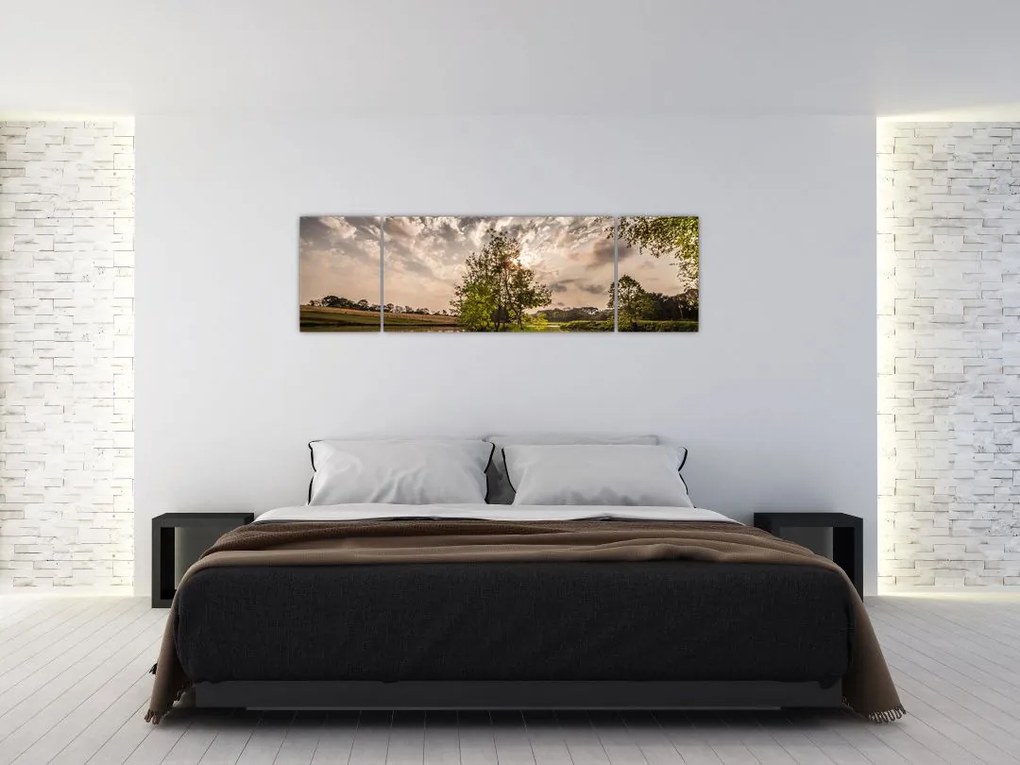 Obraz natury z promieniami (170x50 cm)