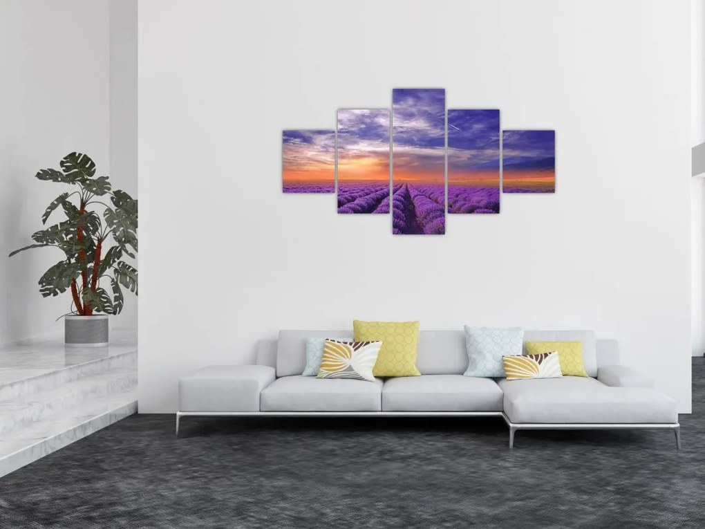Obraz lawendowego pola (125x70 cm)