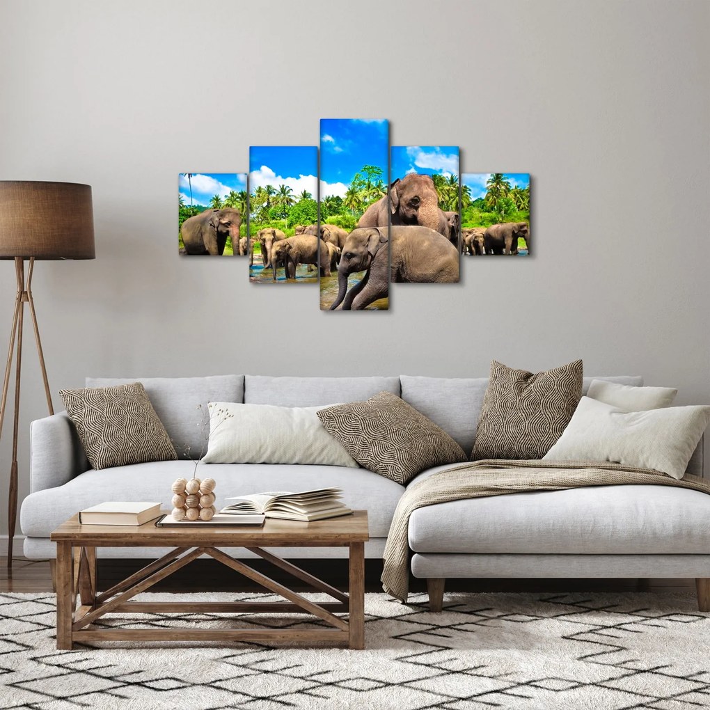 Obraz - Słonie, Sri Lanka (125x70 cm)