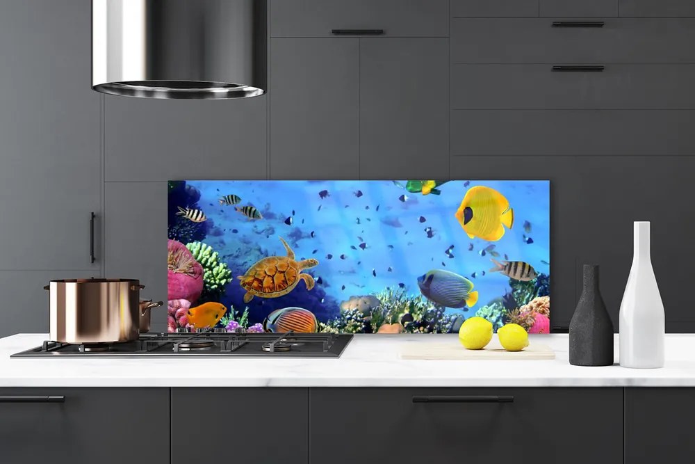 Szkło do Kuchni na Ścianę Podwodny Świat Rafy Koralowej