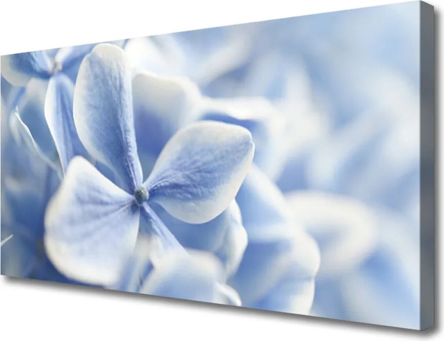 Obraz canvas Delikatność Płatków Kwiatowych