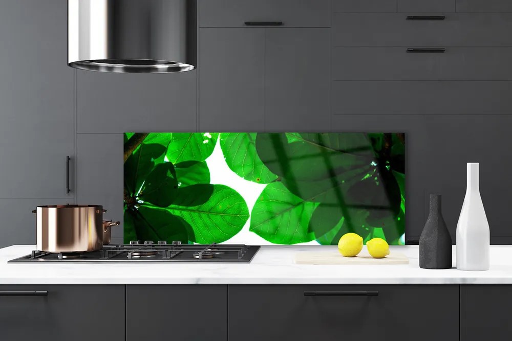 Panel Kuchenny Stylowy Motyw Botaniczny