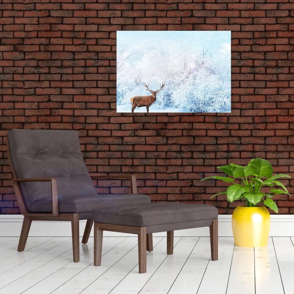 Obraz na szkle majestatycznego jelenia (70x50 cm)