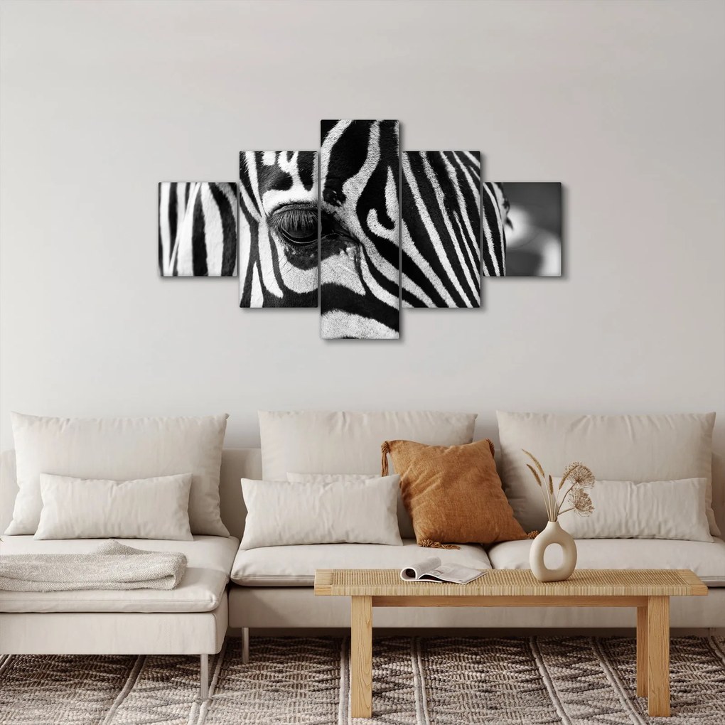 Obraz zebry (125x70 cm)